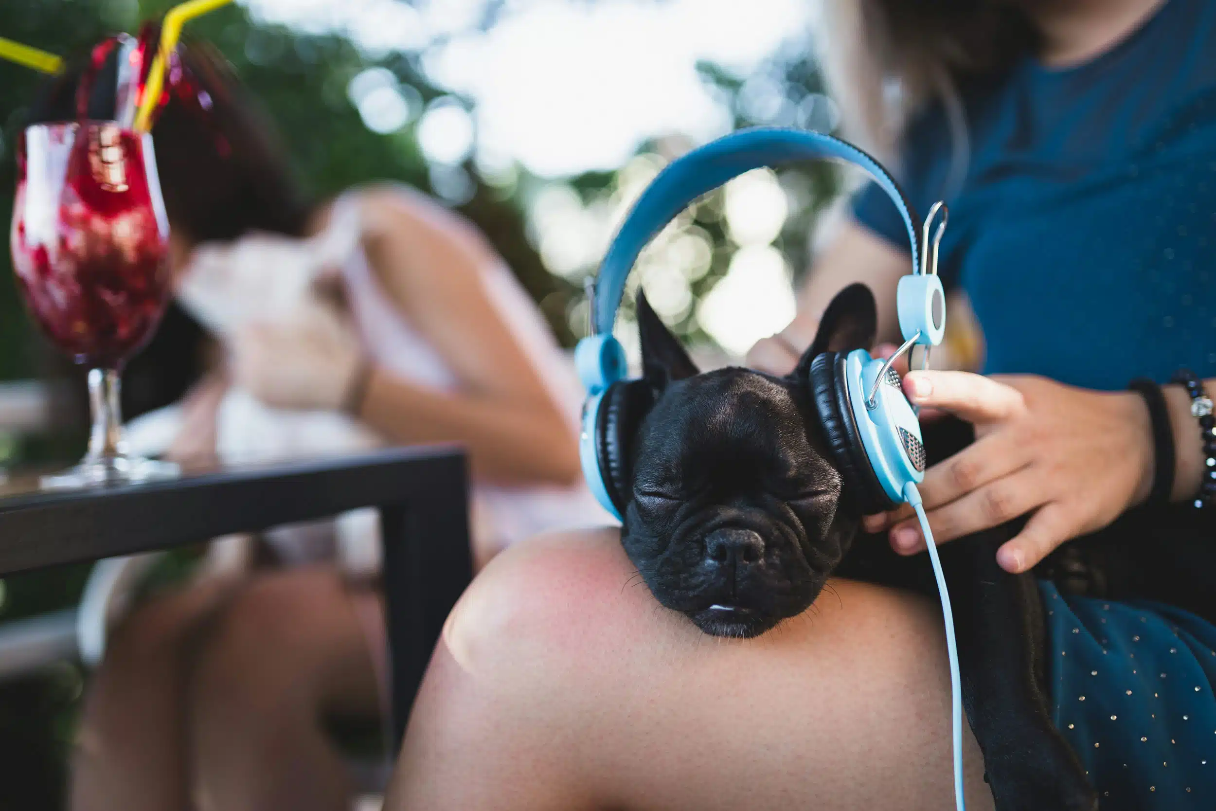 How Mobile Pet Grooming Saves Time: Inside a Groomer’s Day
